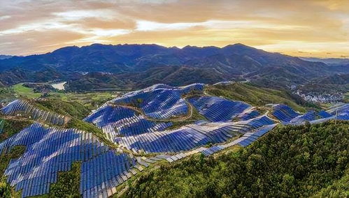 荒漠奇緣 從電廠藍(lán)圖到意外牧場